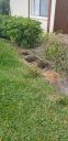 Filename=20190401_145441.jpg
Filesize=2125KiB
Dimensions=1960x4032
Date added=Apr 02, 2019 20190401_145441.jpg