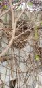 20190403_125837.jpg