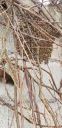 20190403_125850.jpg