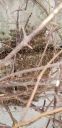 20190403_125916.jpg