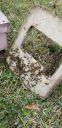 Filename=20190404_122506.jpg
Filesize=1732KiB
Dimensions=1960x4032
Date added=Apr 04, 2019 20190404_122506.jpg