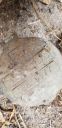 Filename=20190404_122708.jpg
Filesize=1301KiB
Dimensions=1960x4032
Date added=Apr 04, 2019 20190404_122708.jpg
