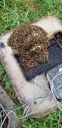 Filename=20190404_182605.jpg
Filesize=1756KiB
Dimensions=1960x4032
Date added=Apr 05, 2019 20190404_182605.jpg