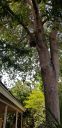 20190405_144224.jpg