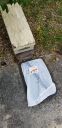 Filename=20190409_091408.jpg
Filesize=2391KiB
Dimensions=1960x4032
Date added=Apr 09, 2019 20190409_091408.jpg