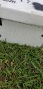 Filename=20190411_130754.jpg
Filesize=948KiB
Dimensions=1960x4032
Date added=Apr 11, 2019 20190411_130754.jpg