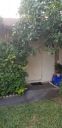 Filename=20190416_185128.jpg
Filesize=1373KiB
Dimensions=1960x4032
Date added=Apr 17, 2019 20190416_185128.jpg