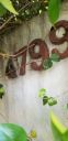 Filename=20190416_185344.jpg
Filesize=912KiB
Dimensions=1960x4032
Date added=Apr 17, 2019 20190416_185344.jpg