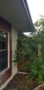Filename=20190416_185420.jpg
Filesize=1140KiB
Dimensions=1960x4032
Date added=Apr 17, 2019 20190416_185420.jpg