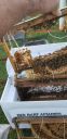 Filename=20190424_184814.jpg
Filesize=1067KiB
Dimensions=1960x4032
Date added=Apr 25, 2019 20190424_184814.jpg