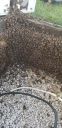 Filename=20190424_185417.jpg
Filesize=1642KiB
Dimensions=1960x4032
Date added=Apr 25, 2019 20190424_185417.jpg
