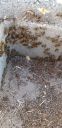 Filename=20190428_182846.jpg
Filesize=1696KiB
Dimensions=1960x4032
Date added=Apr 29, 2019 20190428_182846.jpg