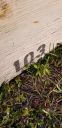 Filename=20190428_183105.jpg
Filesize=1262KiB
Dimensions=1960x4032
Date added=Apr 29, 2019 20190428_183105.jpg