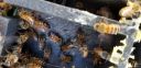 Filename=20190428_183250.jpg
Filesize=1177KiB
Dimensions=4032x1960
Date added=Apr 29, 2019 20190428_183250.jpg