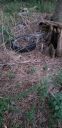 Filename=20190429_200551~0.jpg
Filesize=1150KiB
Dimensions=1960x4032
Date added=May 01, 2019 20190429_200551~0.jpg