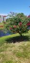 20190501_141704.jpg
