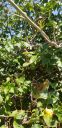 20190501_141715.jpg