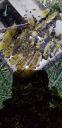 20190501_204614.jpg
