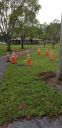 20190507_073037.jpg