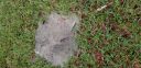 20190507_073048.jpg