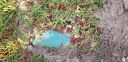 20190507_073345.jpg