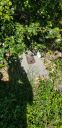 20190511_104403.jpg