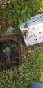 Filename=20190511_125740.jpg
Filesize=1318KiB
Dimensions=1960x4032
Date added=May 13, 2019 20190511_125740.jpg
