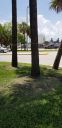 20190514_123145.jpg