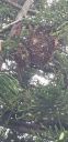 20190514_174922.jpg
