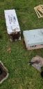 20190514_180749.jpg
