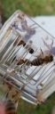 Filename=20190514_181041.jpg
Filesize=711KiB
Dimensions=1960x4032
Date added=May 15, 2019 20190514_181041.jpg