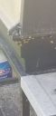 20190520_125948.jpg
