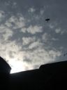 20190605_173452.jpg