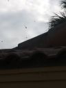 20190605_173640.jpg