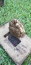 Filename=20190610_200722.jpg
Filesize=1316KiB
Dimensions=1960x4032
Date added=Jun 11, 2019 20190610_200722.jpg