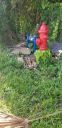20190620_095639.jpg