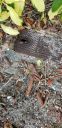 20190620_113047.jpg