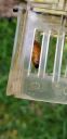 Filename=20190620_130901.jpg
Filesize=685KiB
Dimensions=1960x4032
Date added=Jun 21, 2019 20190620_130901.jpg