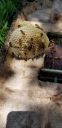 20190620_134318.jpg