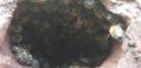 20190620_185300.jpg