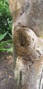 20190624_164615.jpg