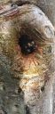 20190624_164923.jpg