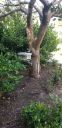 20190624_170859.jpg