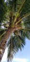 20190627_171907.jpg
