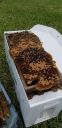 Filename=20190628_120542.jpg
Filesize=1122KiB
Dimensions=1960x4032
Date added=Jun 28, 2019 20190628_120542.jpg