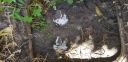 Filename=20190628_135454.jpg
Filesize=3872KiB
Dimensions=4032x1960
Date added=Jun 28, 2019 20190628_135454.jpg
