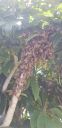 Filename=20190628_140121.jpg
Filesize=771KiB
Dimensions=1960x4032
Date added=Jun 28, 2019 20190628_140121.jpg