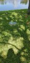20190701_155300.jpg