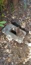 20190701_170729_28129.jpg