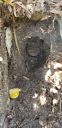Filename=20190701_171659.jpg
Filesize=1984KiB
Dimensions=1960x4032
Date added=Jul 02, 2019 20190701_171659.jpg